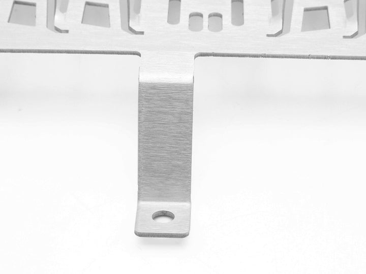 AltRider Radiator Guard for the BMW F 800 GS (2008-2012) - Silver
